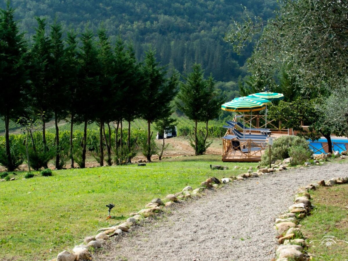 Villa Acquapietra : ferme toscane 7 chambres, piscine et vignobles - Photo 4