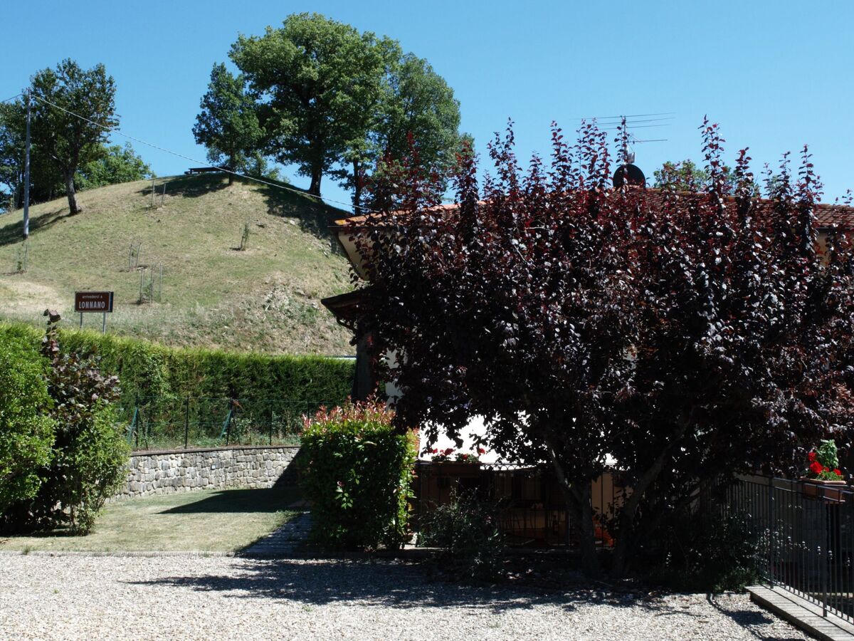 Villa Caterina : maison 12 pers., piscine 6×12m à Pratovecchio - Photo 38