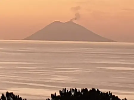 Maison 4 chambres Capo Vaticano, accès direct à la mer : photo 32