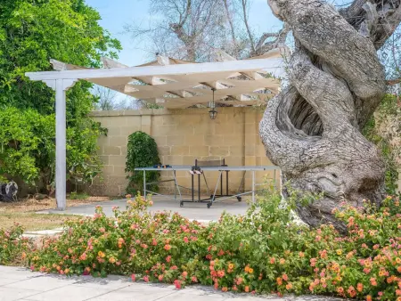 Masseria Le Cicale – Maison 10 pers., piscine & oliviers : photo 20