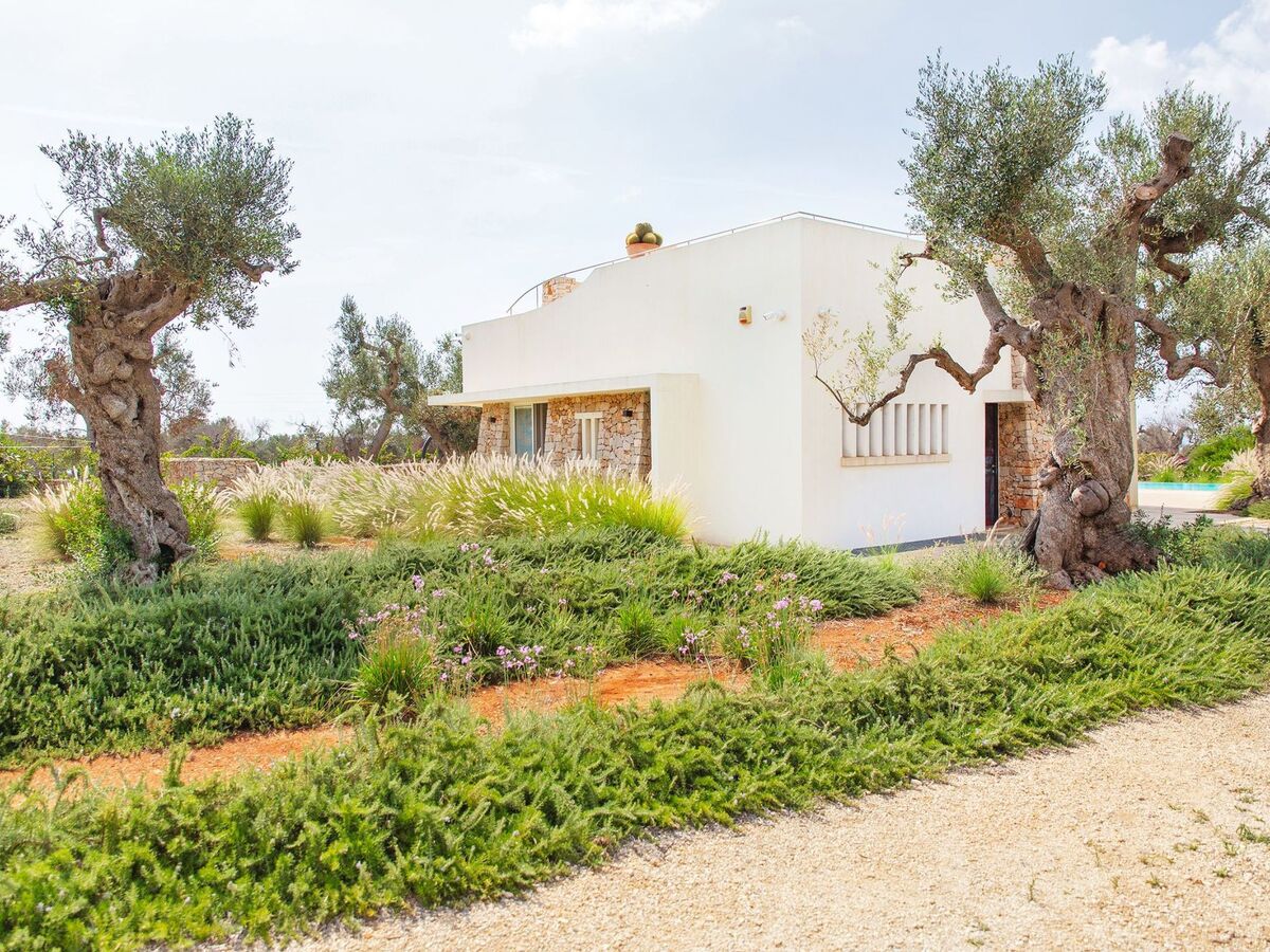 Villa Ligola – Maison 4 chambres avec piscine et vue mer - Photo 14