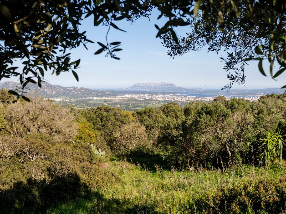 Stazzo Straetu, maison gallurese historique à Olbia - Photo 35
