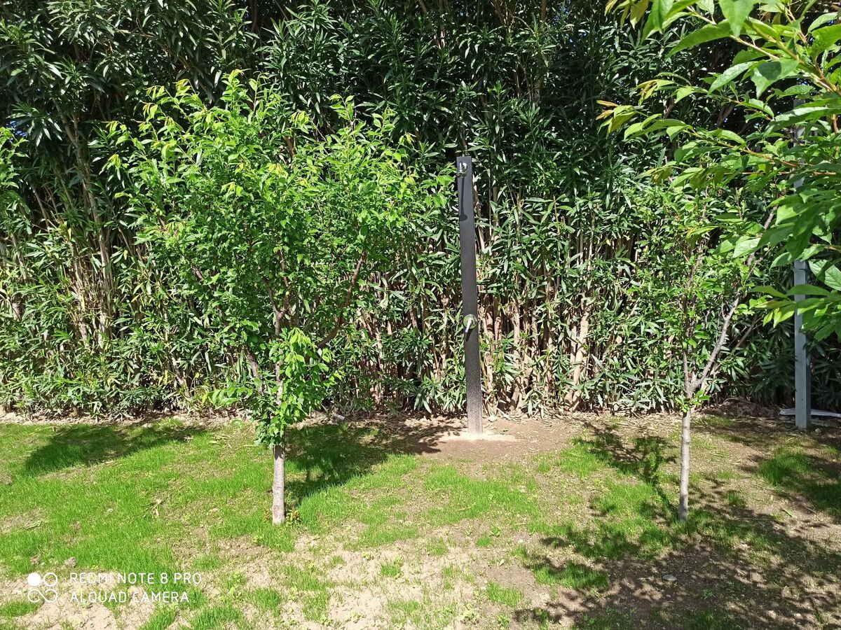 Villetta Smeralda – Appartement Siniscola, 1,5 km plage - Photo 16