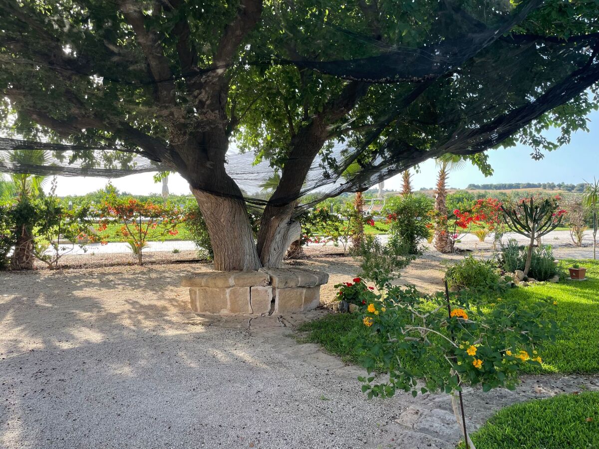 Appartement Gelso à Noto, 8 personnes, piscine commune - Photo 23