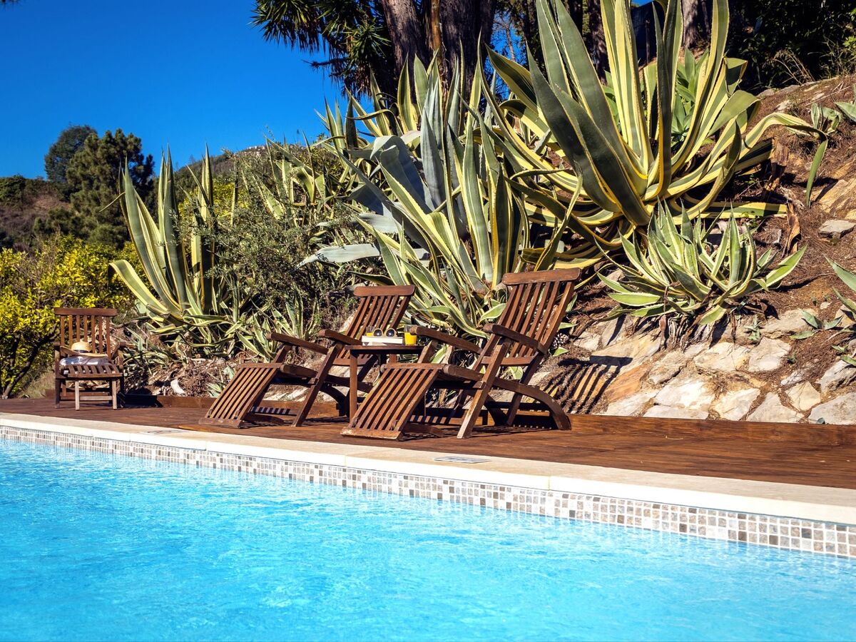 Blue Lake House : villa 8 pers. avec piscine et sauna - Photo 21