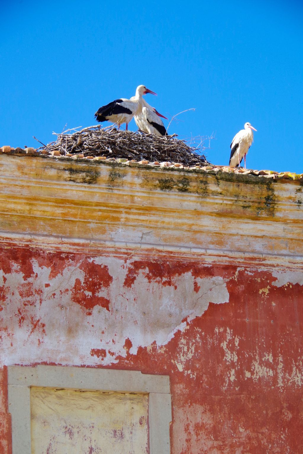Casa Margarida Azul, maison historique à Silves - Photo 19