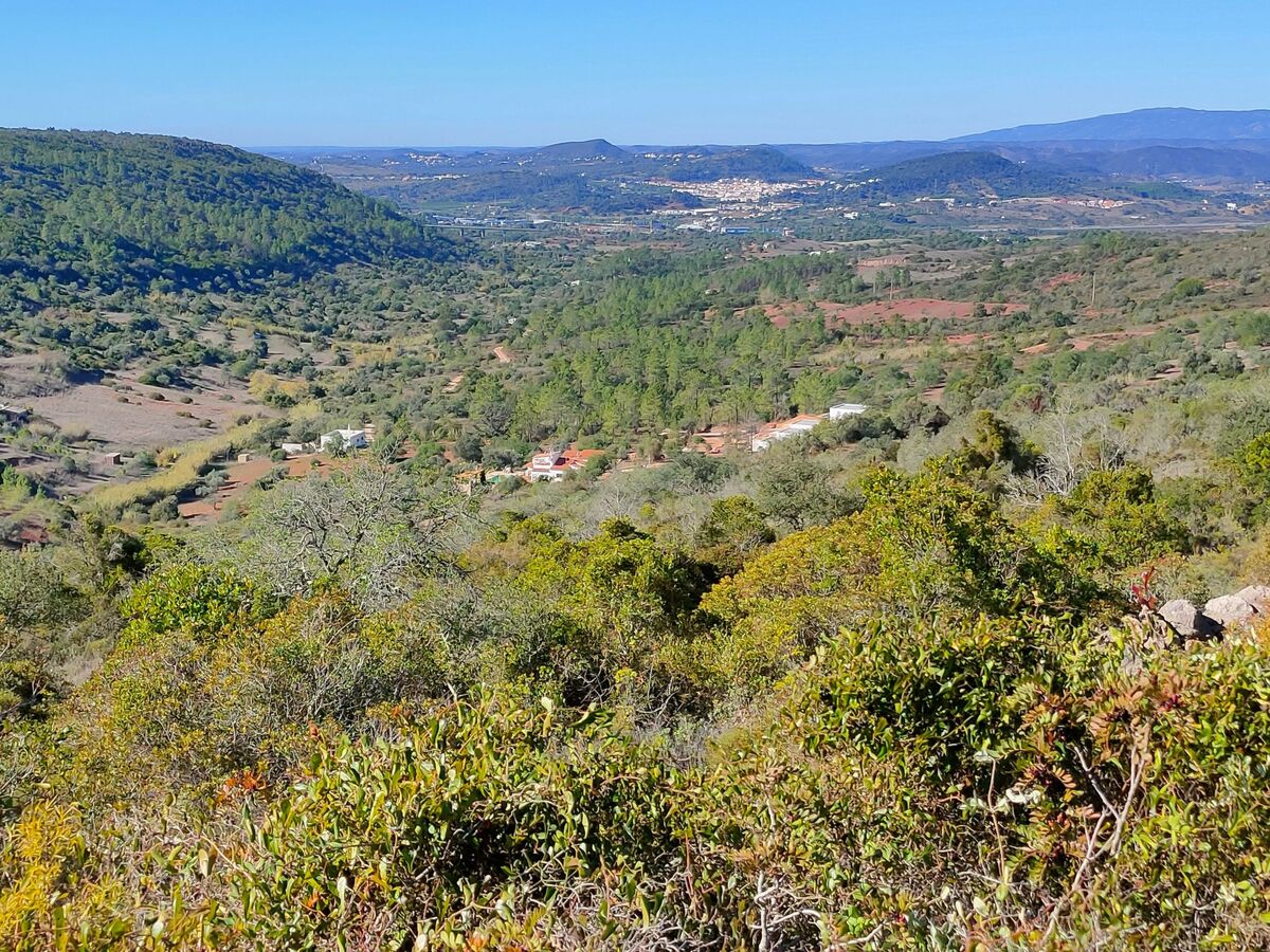 Casa da Cidreira – Villa 4 pers. piscine privée en réserve naturelle - Photo 22