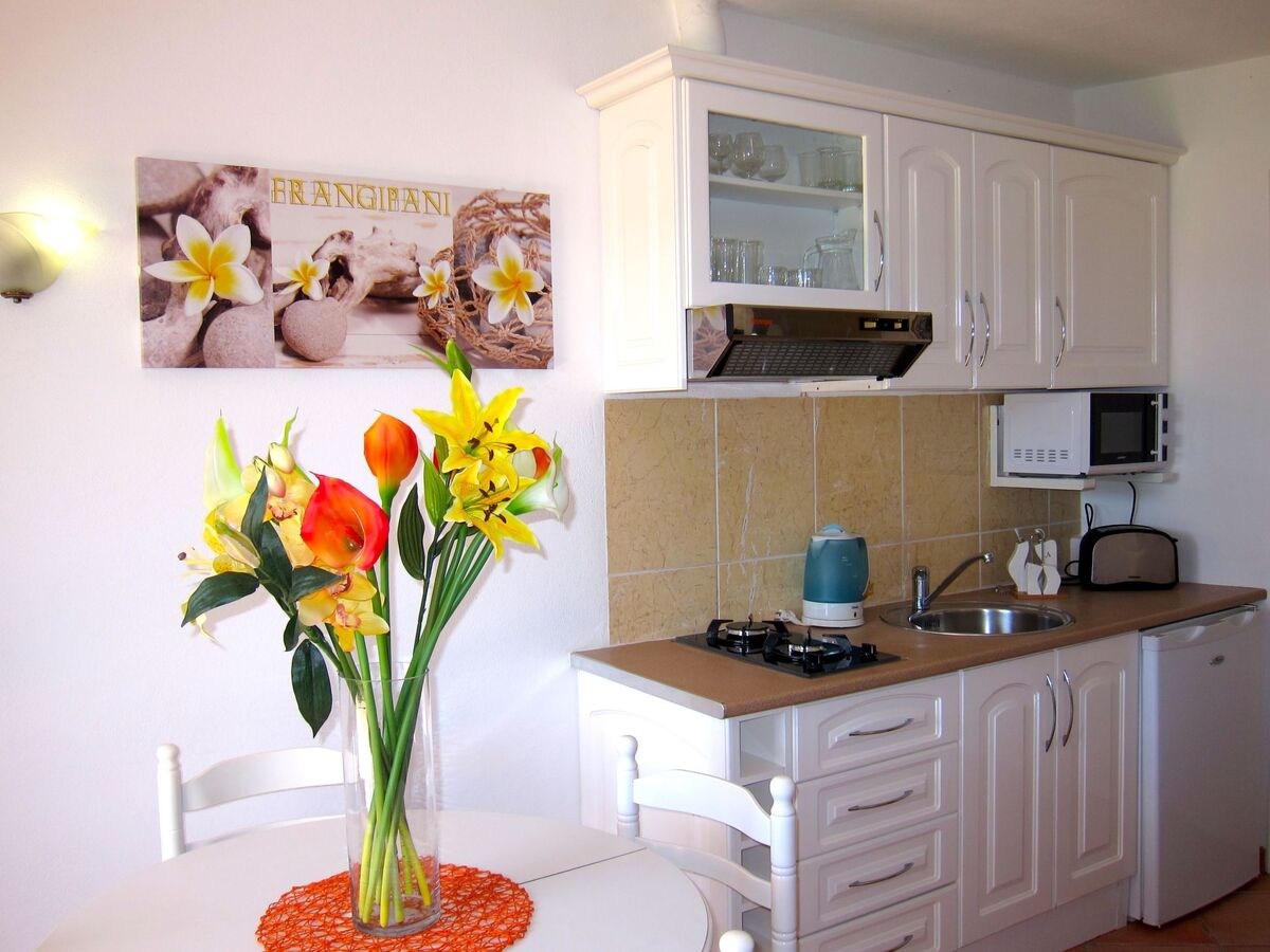 Casa da Horta – Appartement 1 chambre, jardin à Olhos de Água - Photo 11