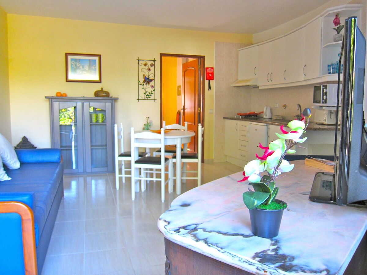 Casa da Horta CH12 - 1 chambre à Olhos de Água - Photo 13