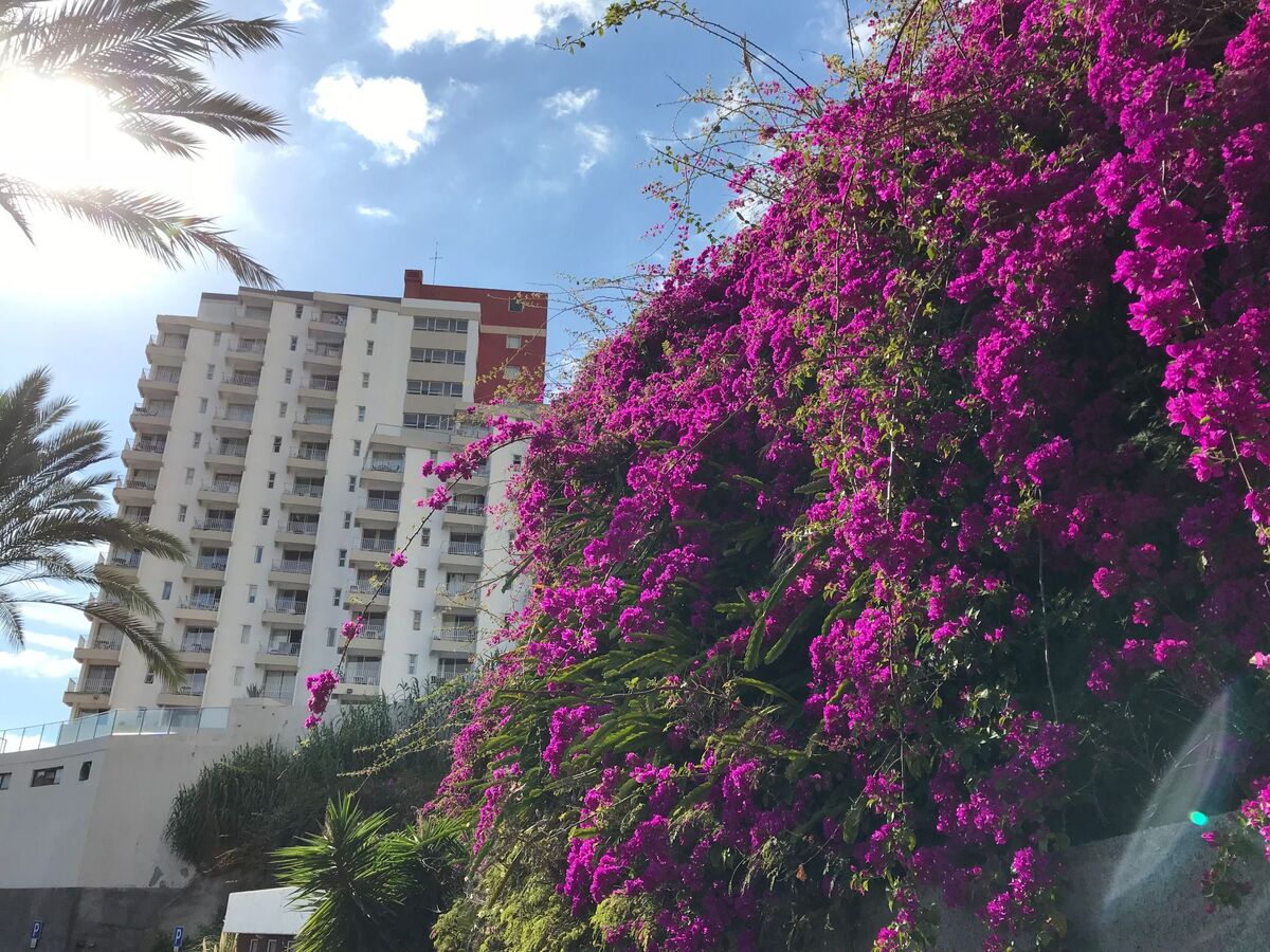Appartement vue mer à Funchal, 6e étage avec piscine - Photo 14
