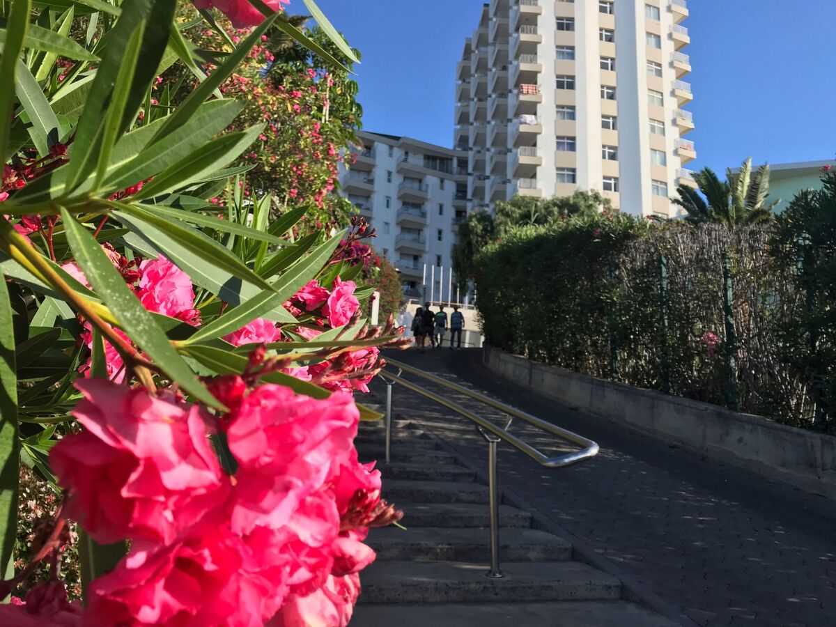 Appartement vue mer à Funchal, 6e étage avec piscine - Photo 21