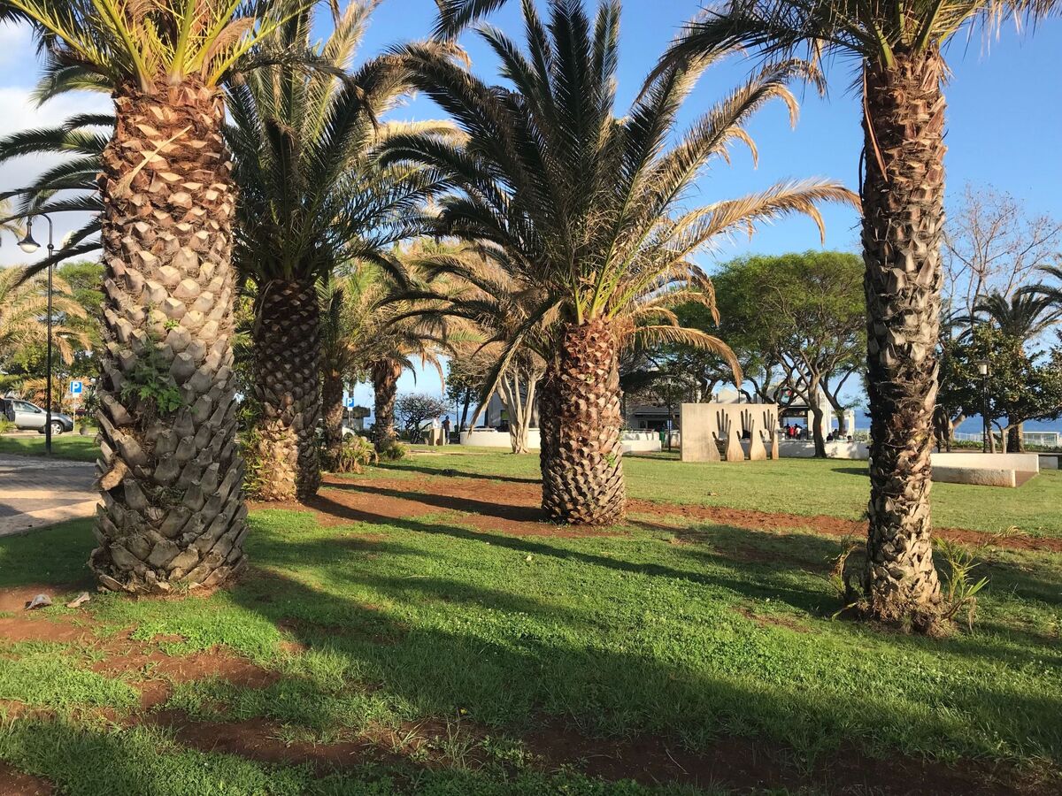 Appartement vue mer à Funchal, 6e étage avec piscine - Photo 30