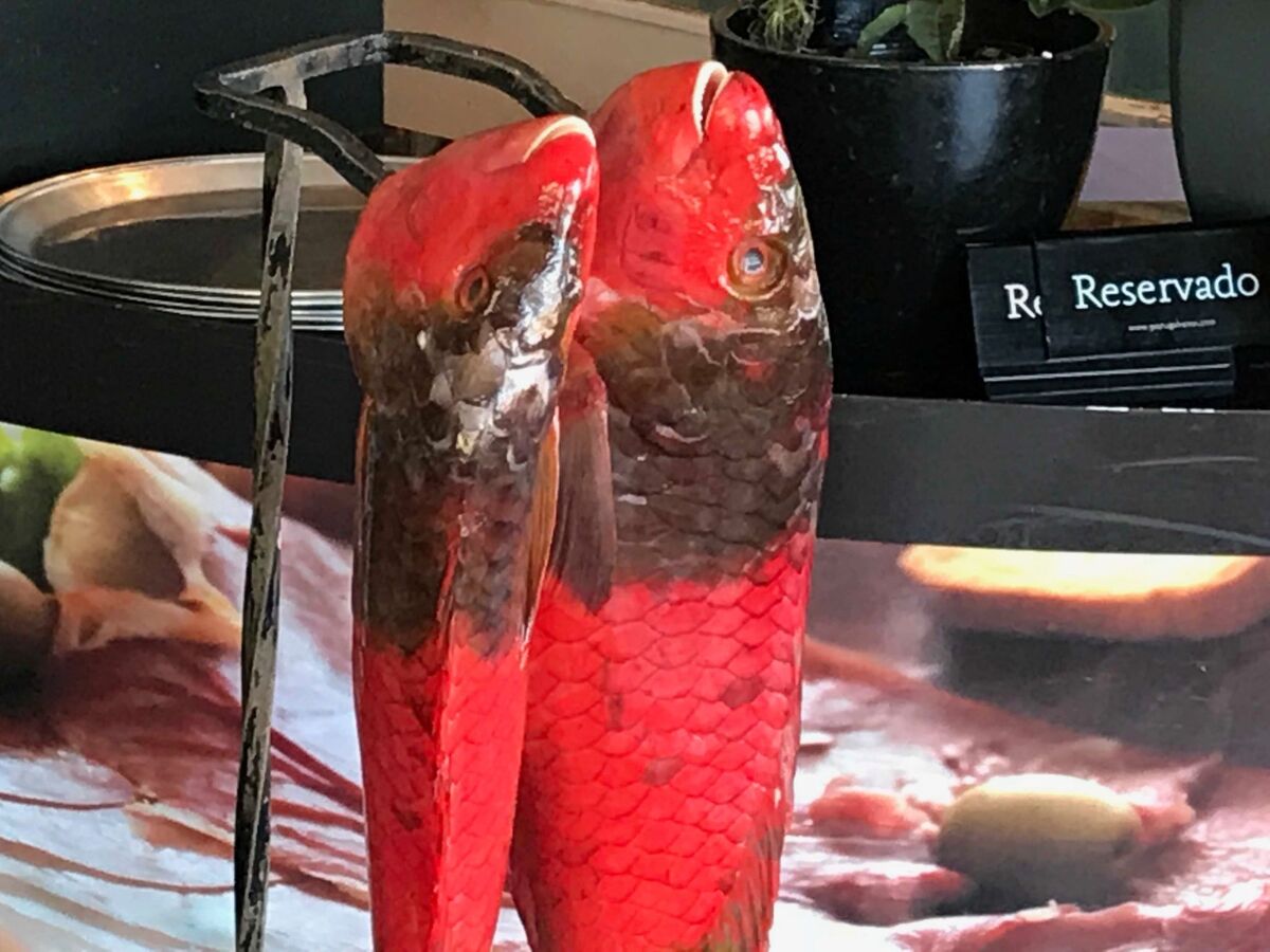 Appartement vue mer à Funchal, 6e étage avec piscine - Photo 31
