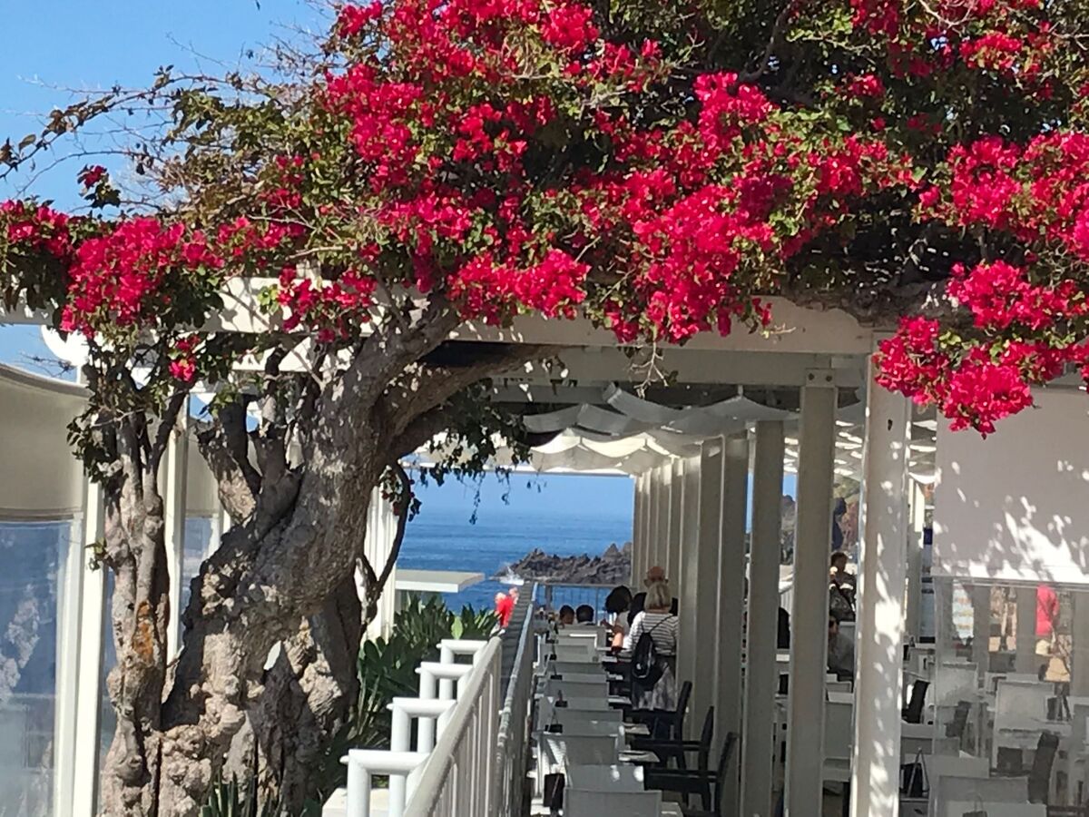 Appartement vue mer à Funchal, 6e étage avec piscine - Photo 32