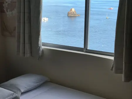 Appartement vue mer à Funchal, piscine et plage à 100 m : photo 5