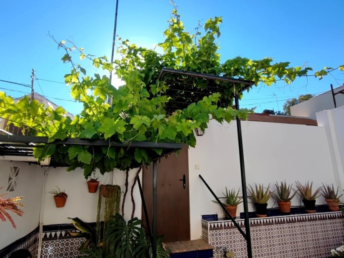 Appartement El Palo, 1 chambre avec patio privatif - Photo 3