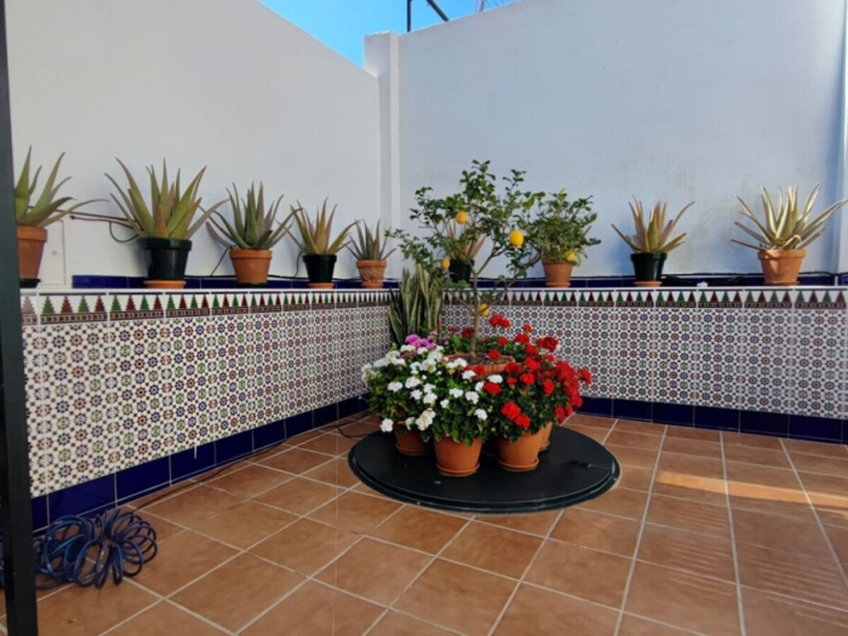 Appartement El Palo, 1 chambre avec patio privatif - Photo 8