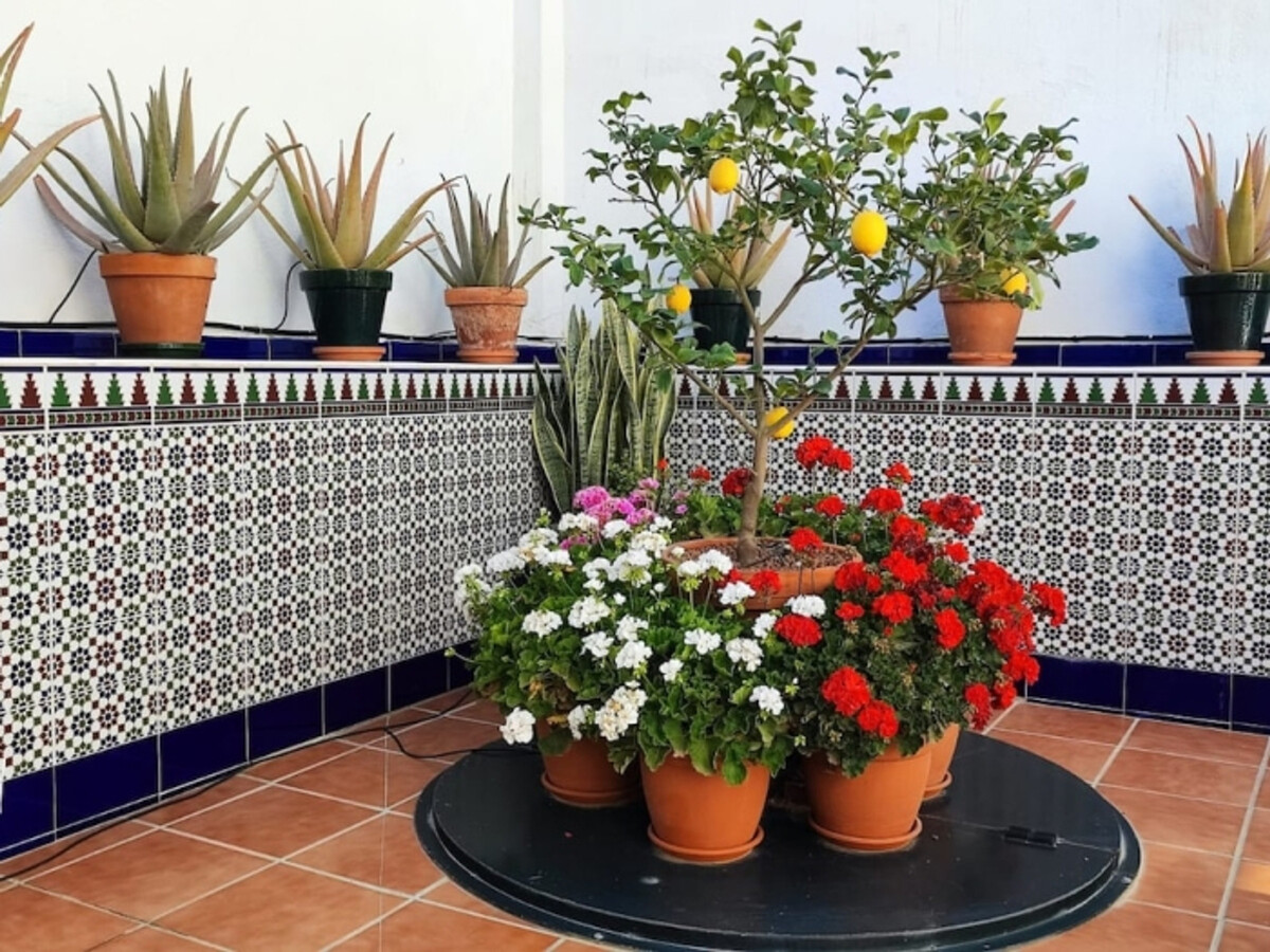 Appartement El Palo, 1 chambre avec patio privatif - Photo 17