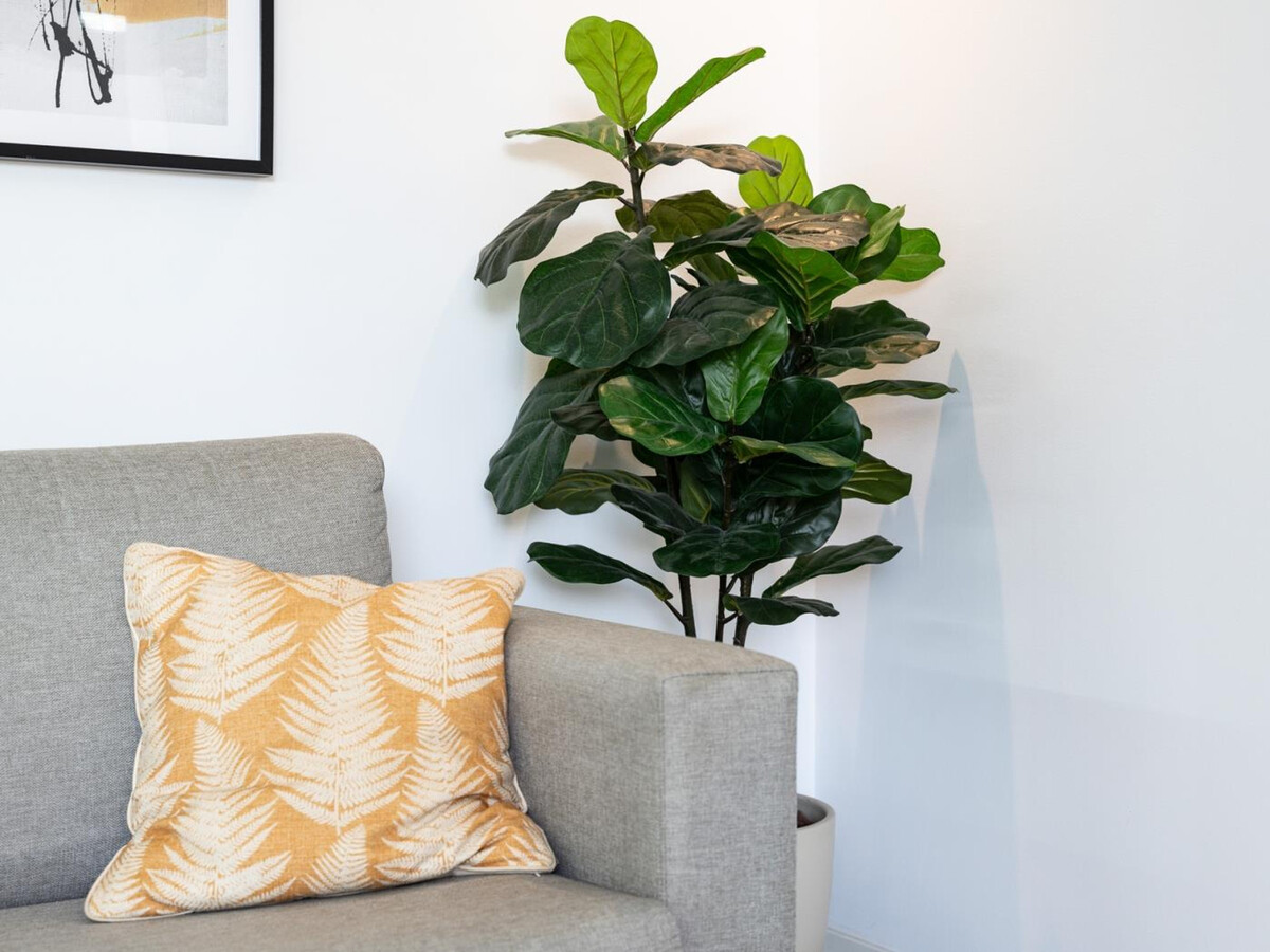 Appartement 1 chambre avec cour privée à Málaga - Photo 10