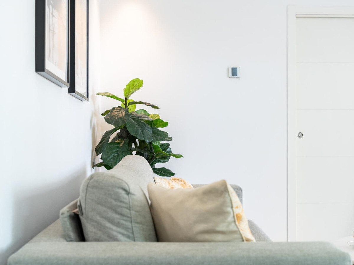 Appartement 1 chambre avec cour privée à Málaga - Photo 12