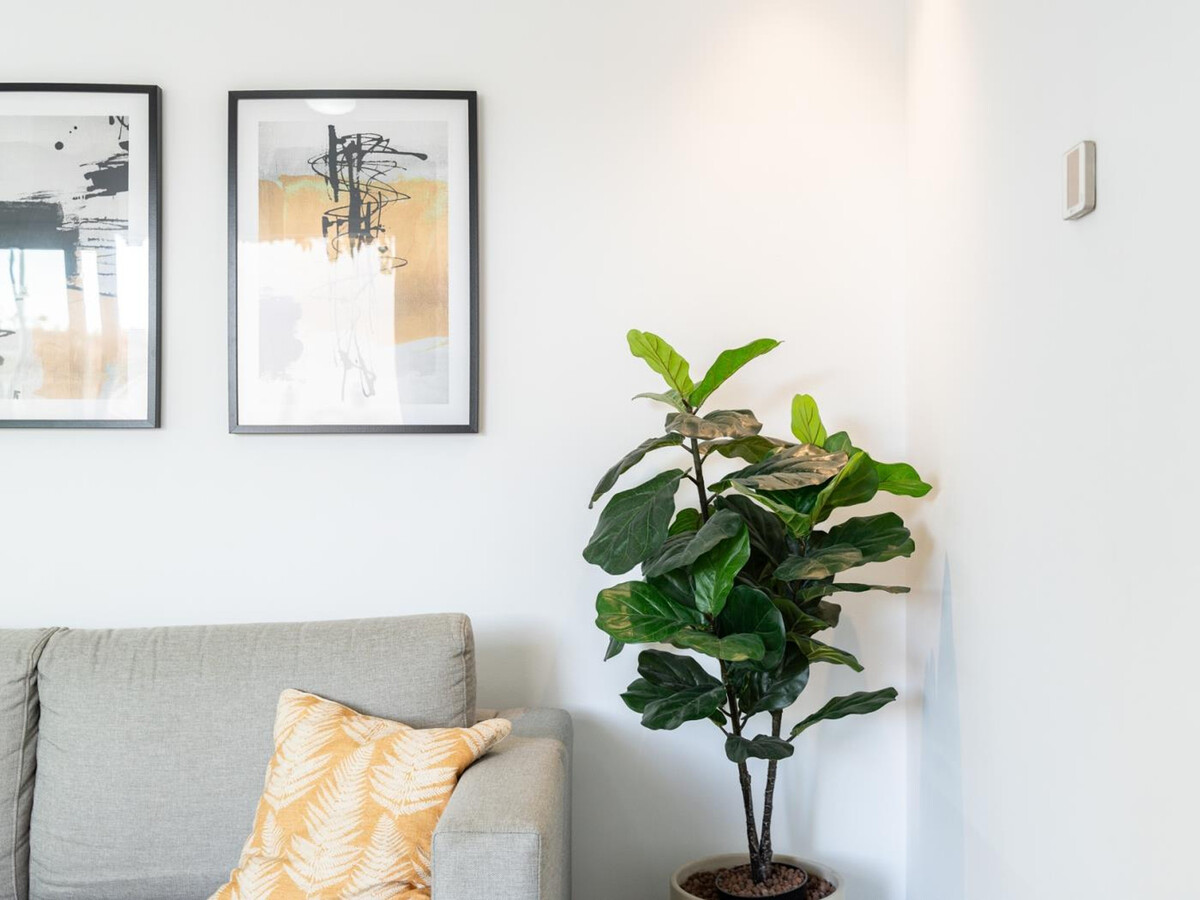 Appartement 1 chambre avec cour privée à Málaga - Photo 13