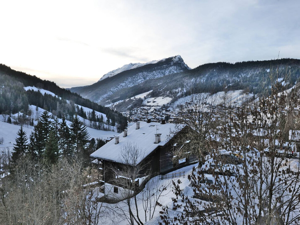 Duplex 3 chambres vue Aravis, Le Grand-Bornand - Photo 24