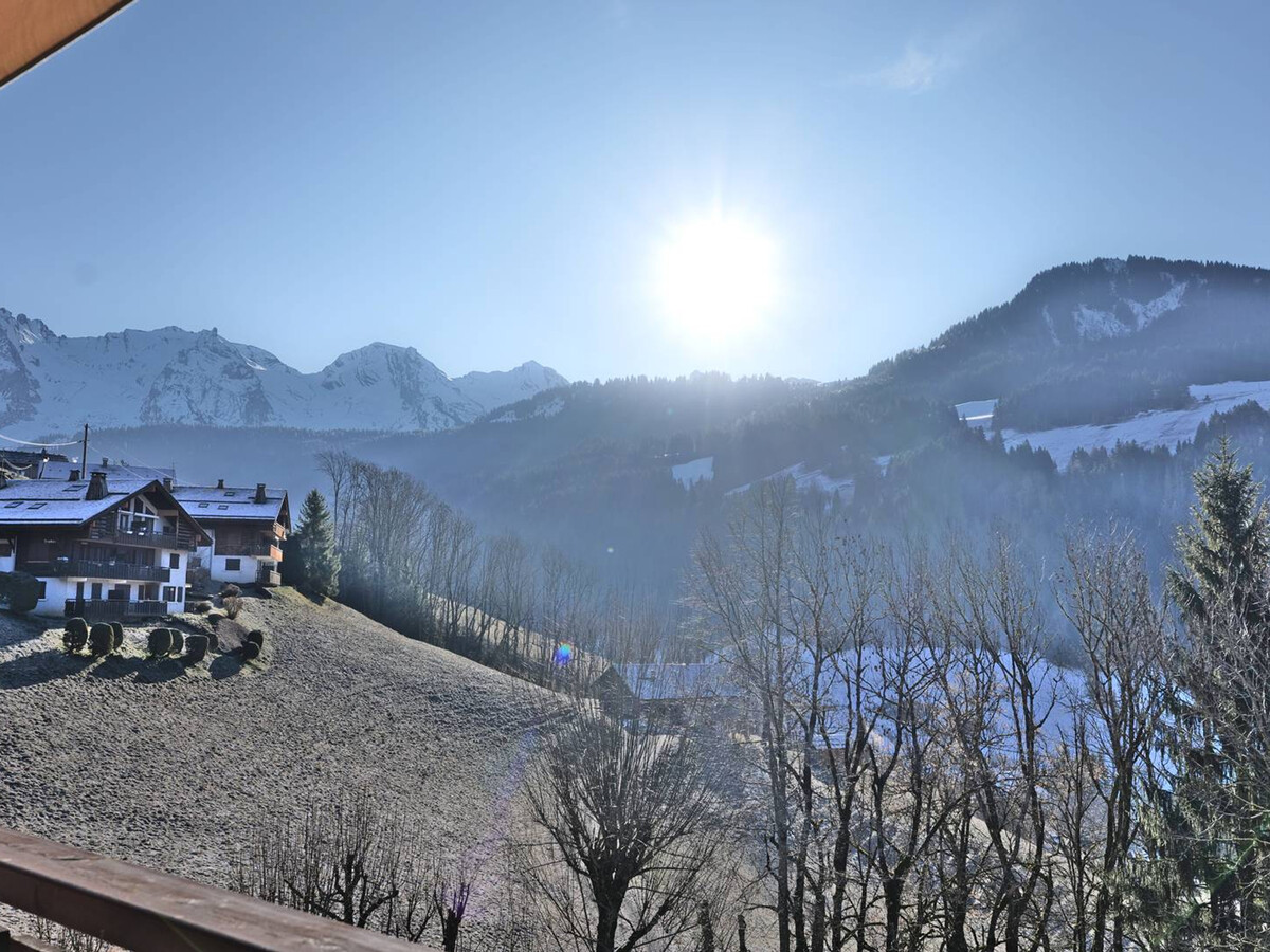 Duplex 3 chambres vue Aravis, Le Grand-Bornand - Photo 26