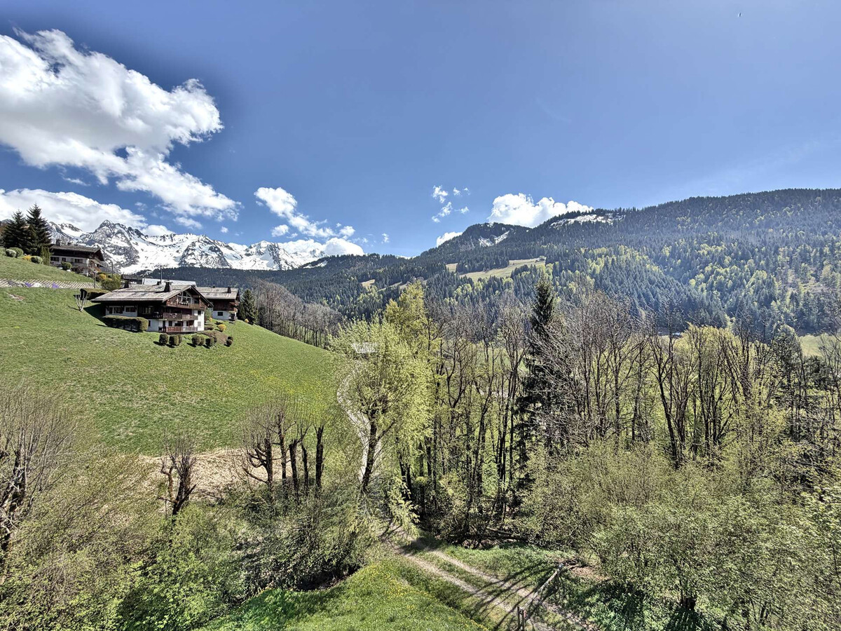 Duplex 3 chambres vue Aravis, Le Grand-Bornand - Photo 32