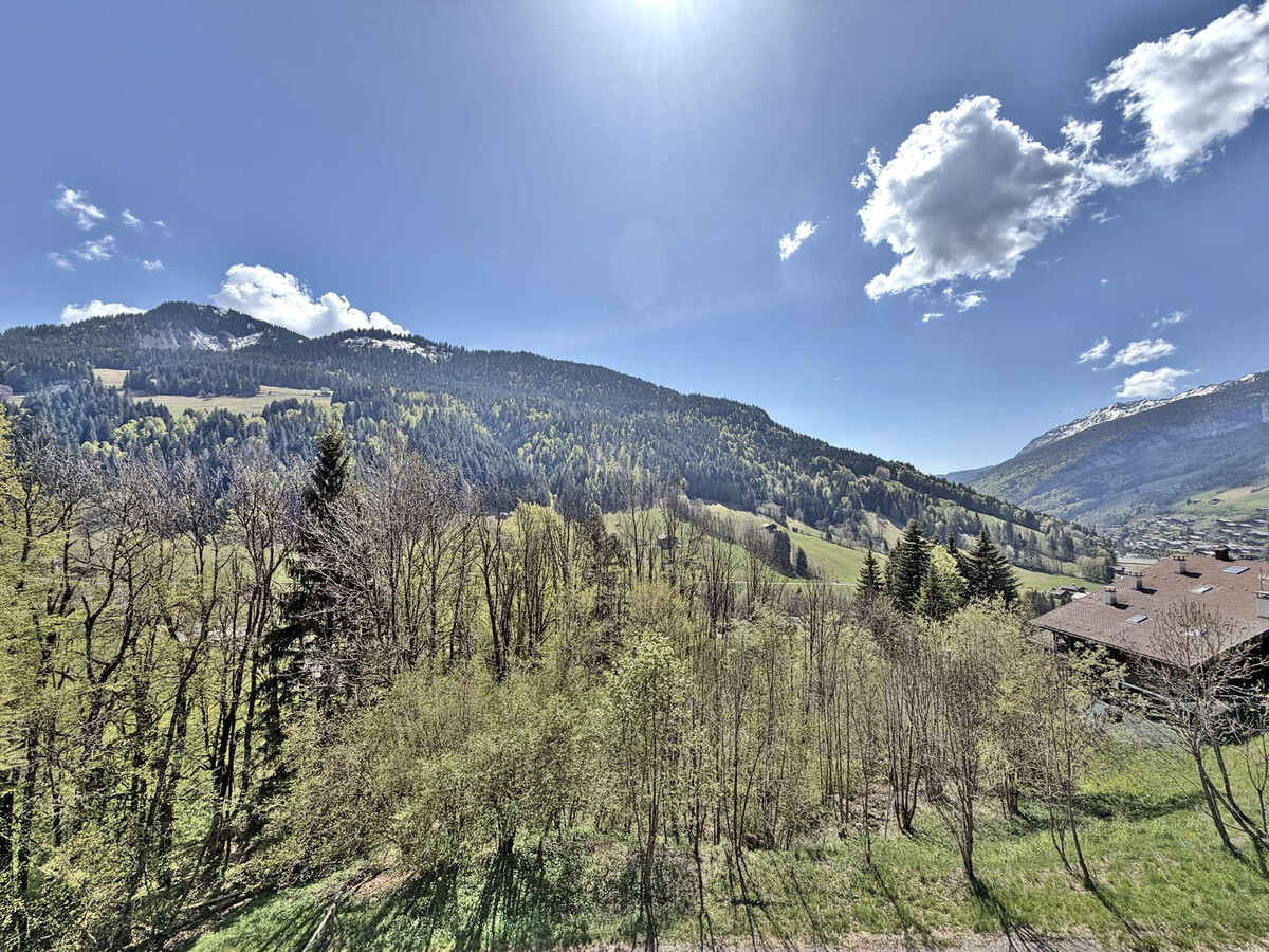 Duplex 3 chambres vue Aravis, Le Grand-Bornand - Photo 33