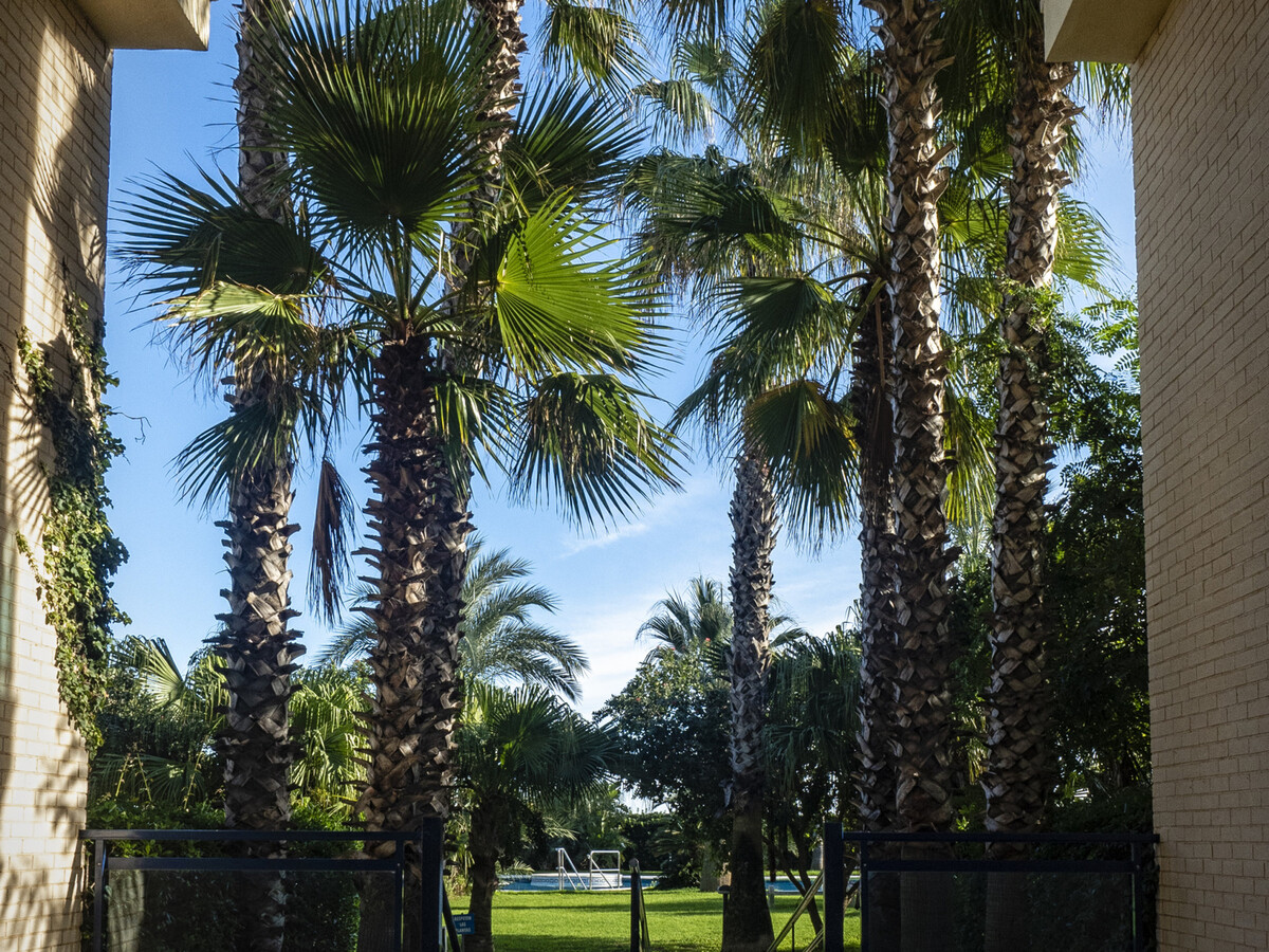 Appartement Xeraco Playa, terrasse 70 m² vue mer - Photo 13