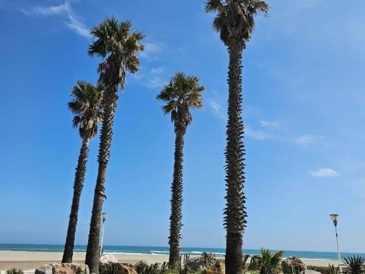 Deux-pièces front de mer à Canet-Plage avec parking - Photo 12