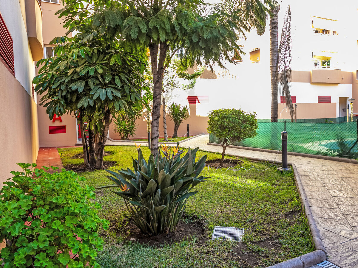 El Pinillo – Appartement 4 pers. terrasse 60m² à Torremolinos - Photo 27