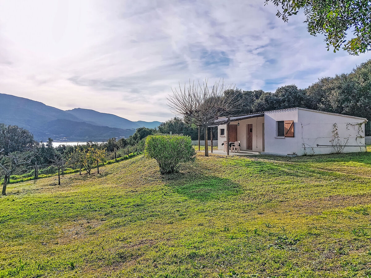 Maisonnette Terra Tramandera à Calcatoggio - Photo 1