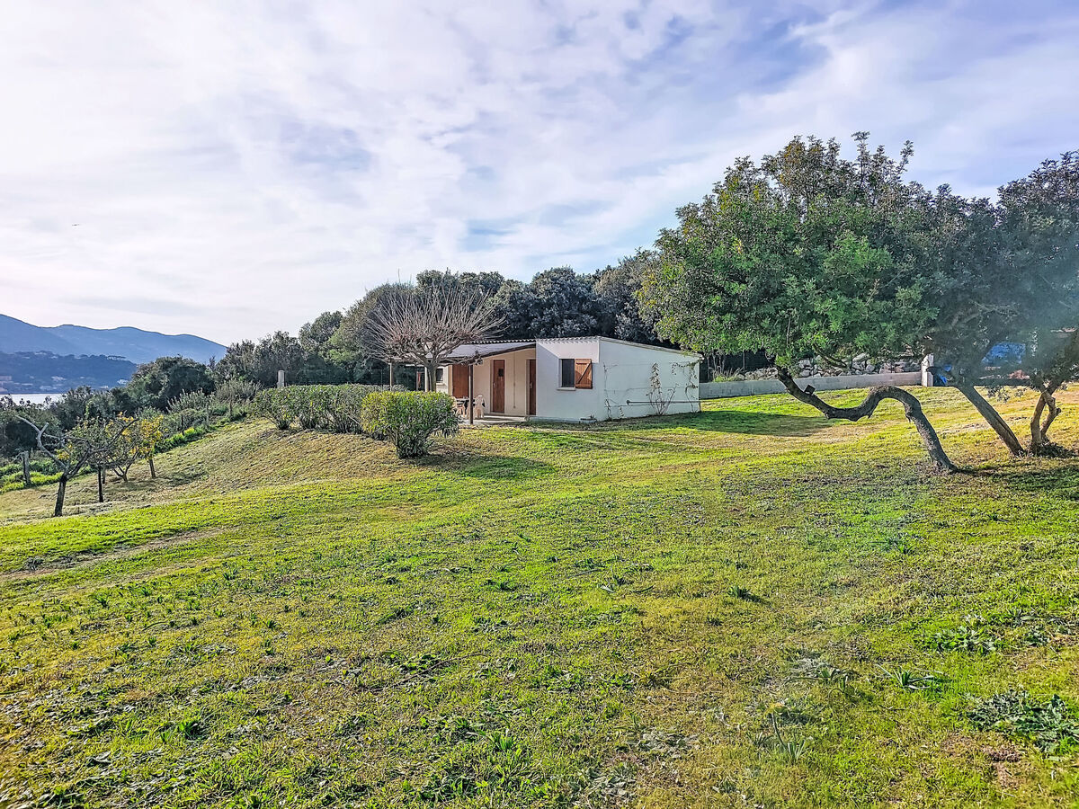 Maisonnette Terra Tramandera à Calcatoggio - Photo 16