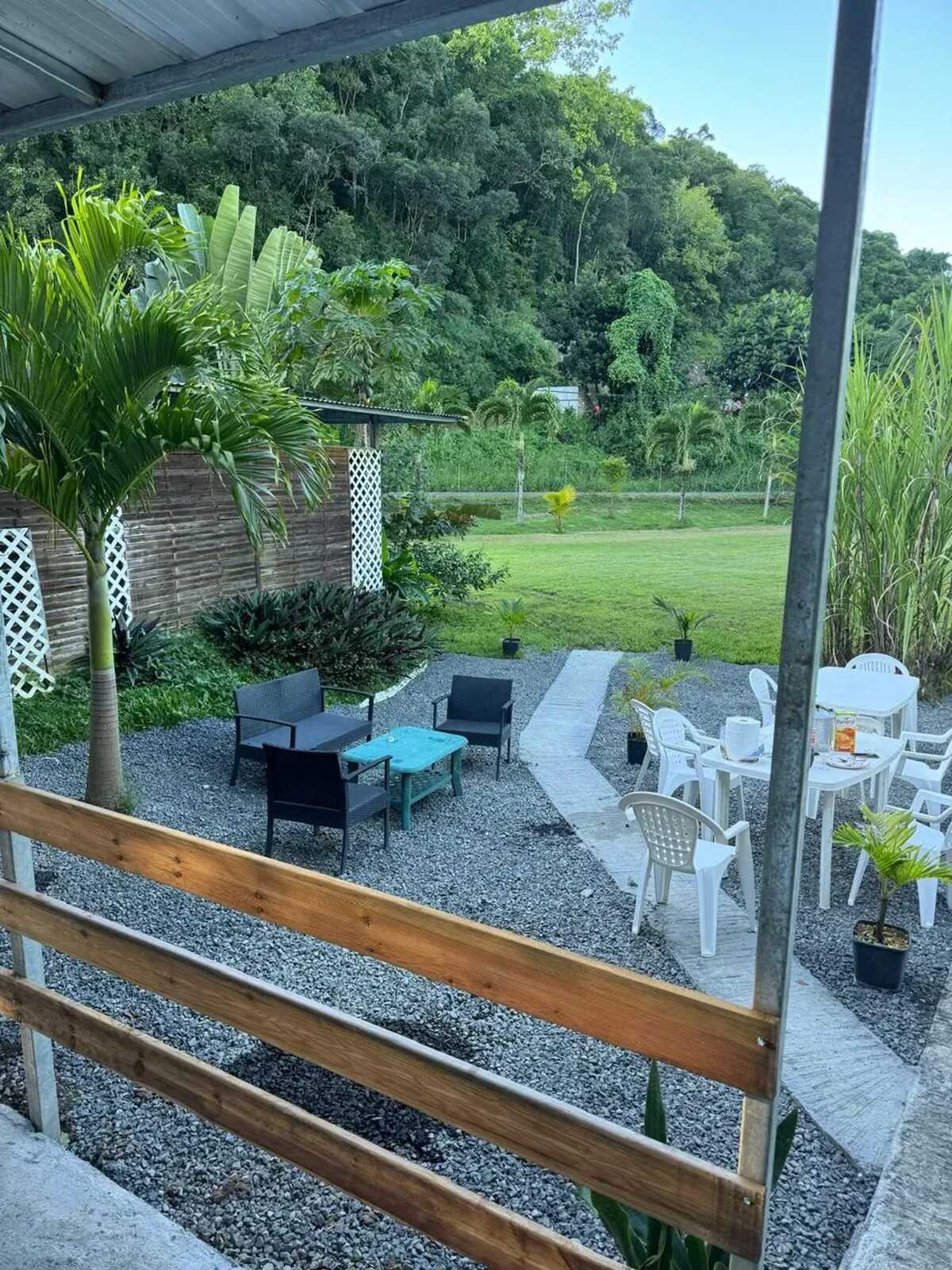 Studio avec vue jardin et piscine partagée à Morne-à-l'Eau - Photo 11