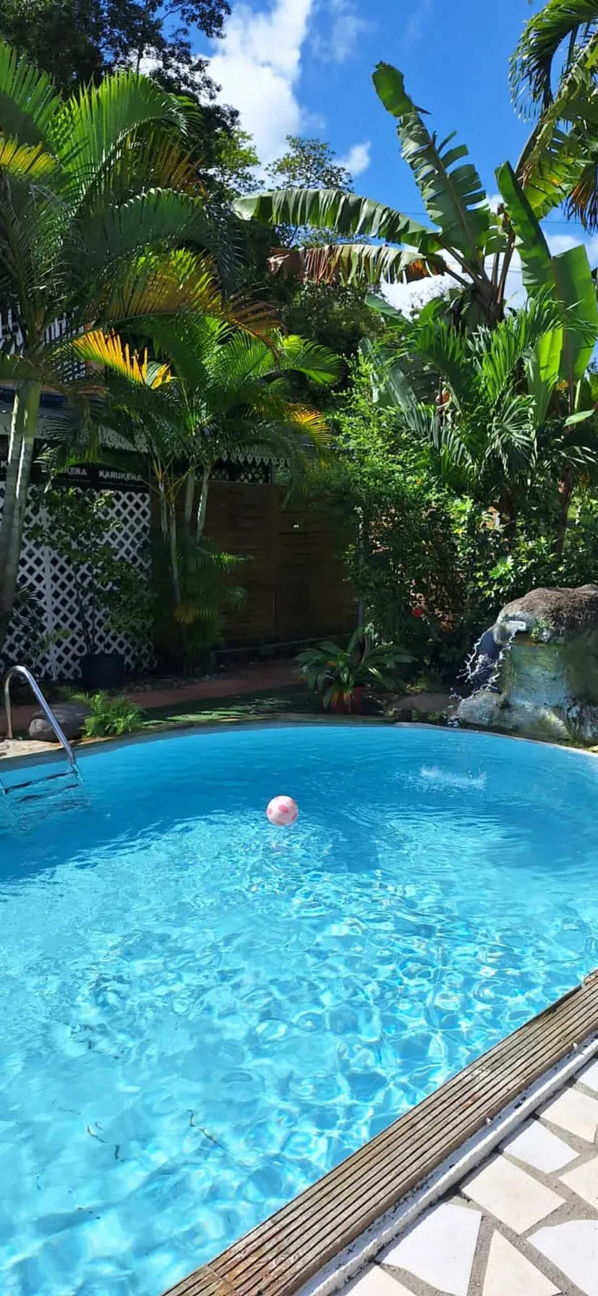 Studio avec vue jardin et piscine partagée à Morne-à-l'Eau - Photo 15