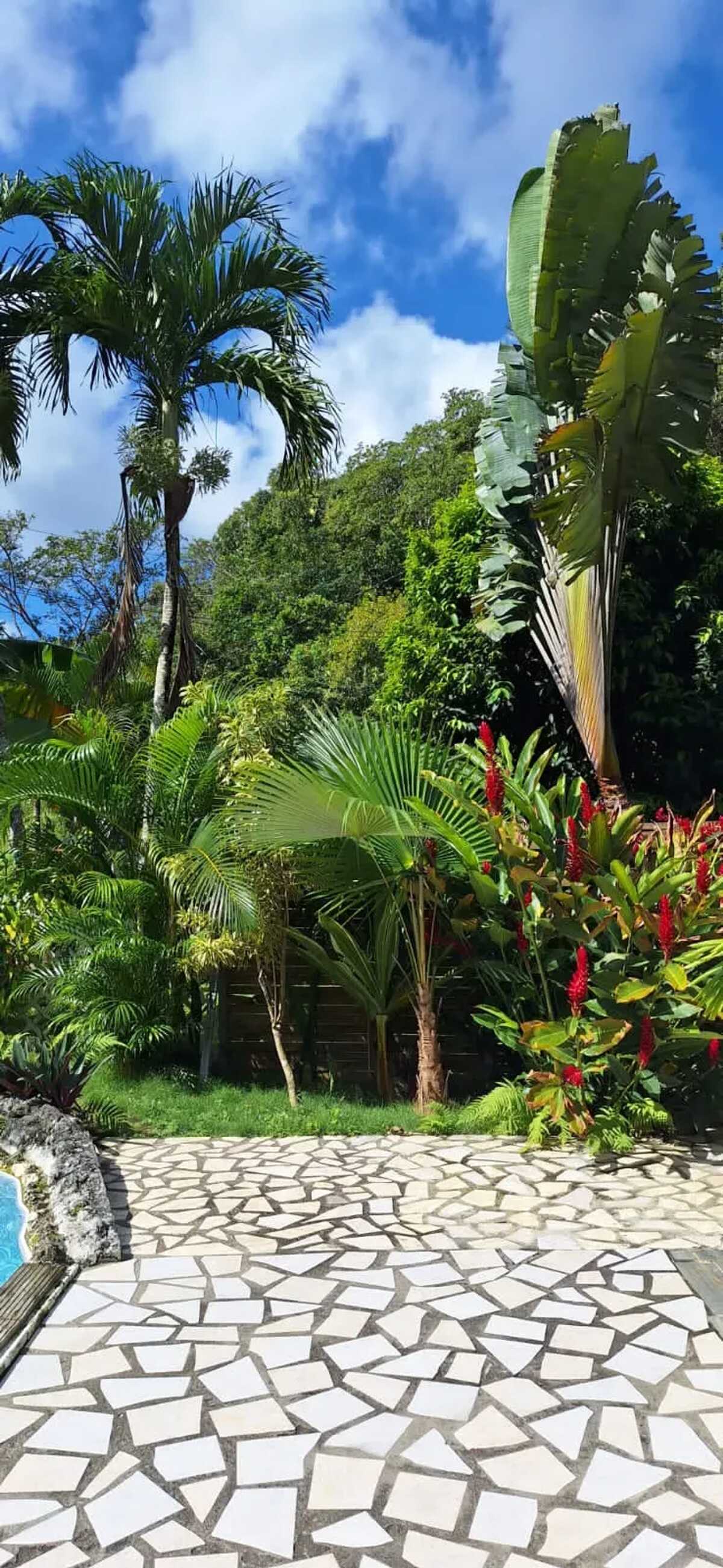 Studio avec vue jardin et piscine partagée à Morne-à-l'Eau - Photo 16