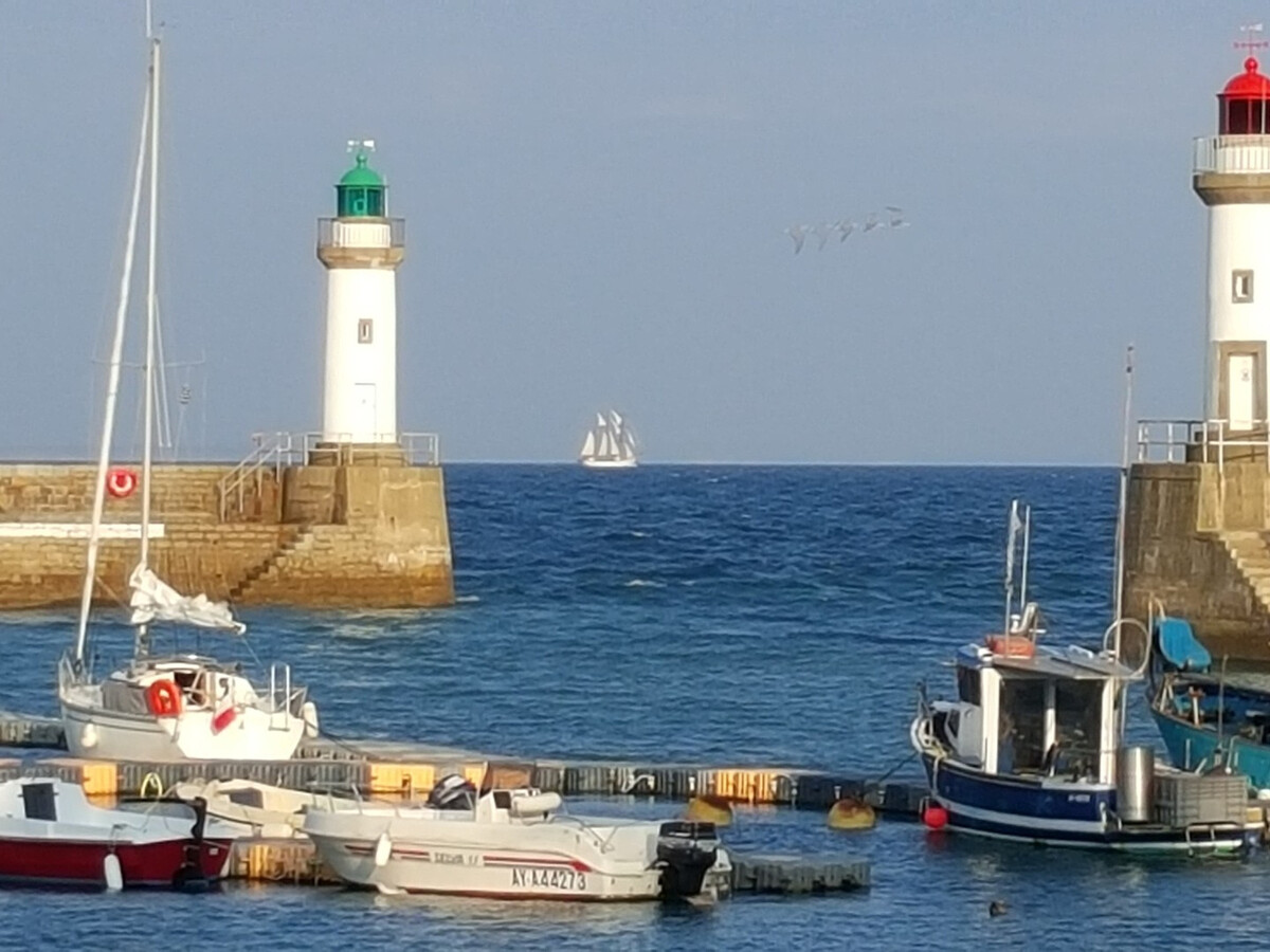 Maison familiale 5 pers. à 400 m du port de Sauzon - Photo 16