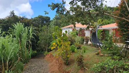 Studio avec piscine privée à Rivière-Pilote, Martinique, 4 personnes : photo 6