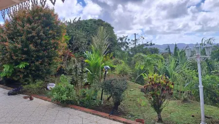 Studio avec piscine privée à Rivière-Pilote, Martinique, 4 personnes : photo 7