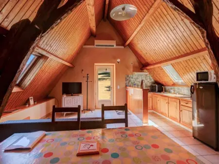 Gîte Résoulès I en pierre à Gourdon, piscine partagée : photo 11