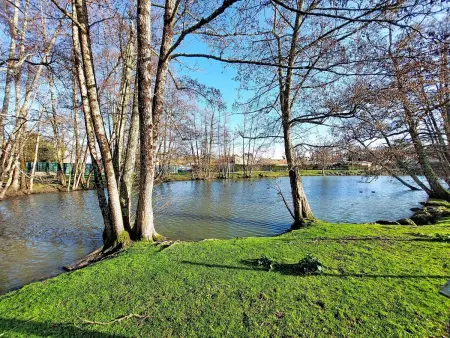 Le Clos des Chênes – Maison 5 pers. aux Mathes : photo 30
