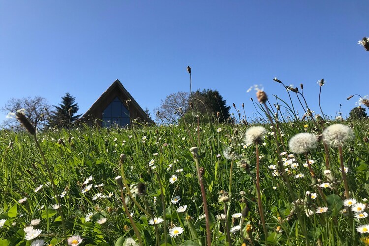 The Grange – Maison 10 hectares à Parlan - Photo 26