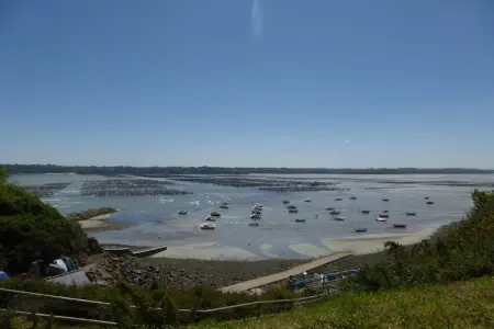 Gîte Louis : maison 4 pers. à la ferme, 5 km de plage : photo 28