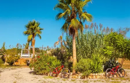 Finca Ses Tanques avec piscine à Algaida : photo 7