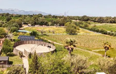 Finca Ses Tanques avec piscine à Algaida : photo 18
