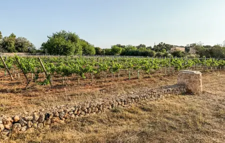Finca Ses Tanques avec piscine à Algaida : photo 27
