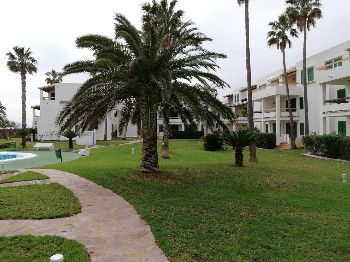 Appartement face à la plage, piscine et jardins à Xeraco - Photo 4
