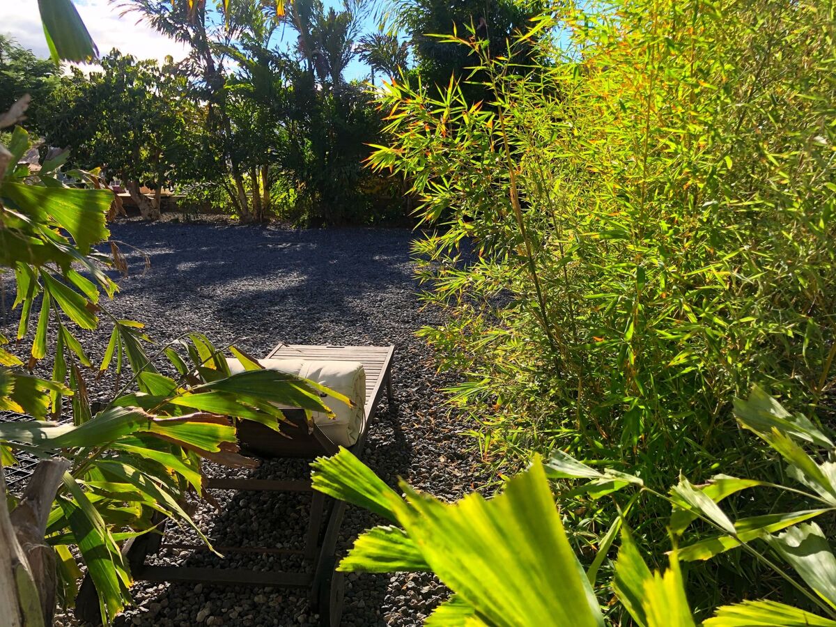 Maison bioclimatique à Valle Jimenez, Tenerife - Photo 22