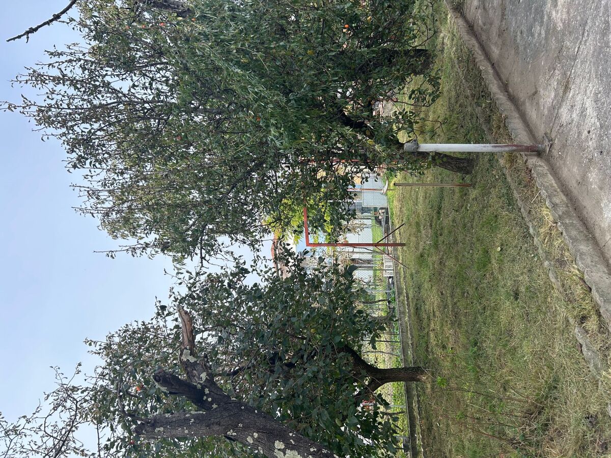 Maison 5 chambres Monfalcone, 9 personnes, jardin - Photo 21